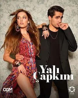 土剧《翠鸟 第一季》：豪门恩怨下的爱情悲歌，虐恋情深的宿命纠葛