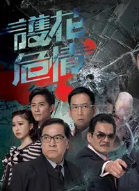 《护花危情》：霸道总裁爱上我？看保镖如何守护千金小姐的爱情！