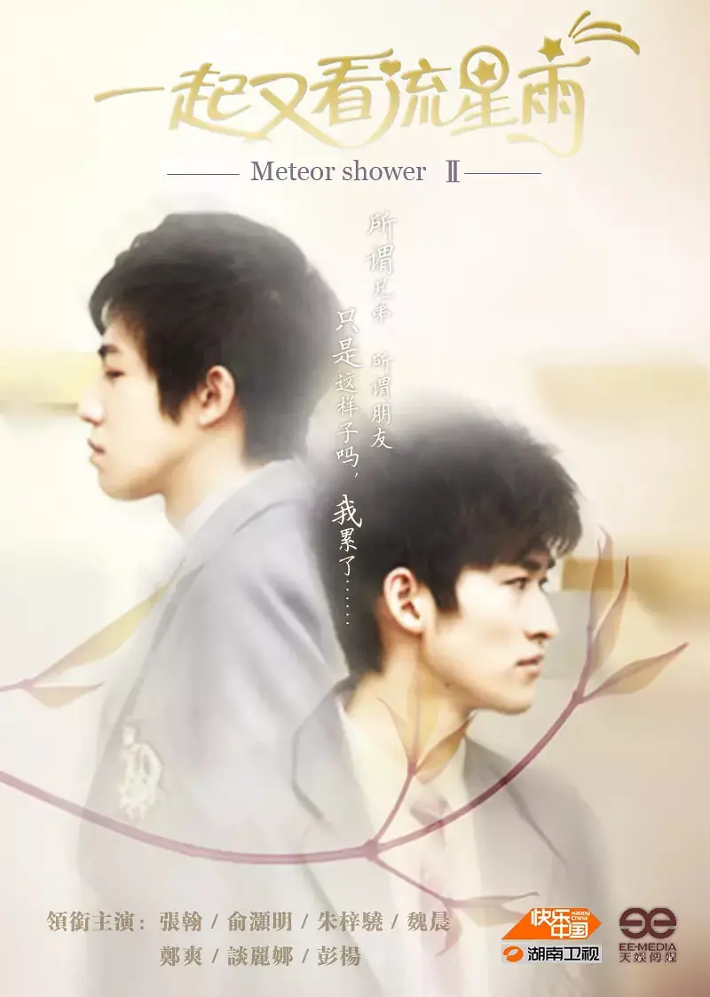 《一起又看流星雨 2010》：告别青涩，谁还在乎那份心跳？